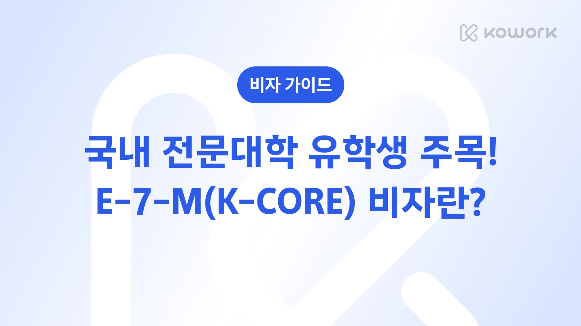 비자 가이드-0406.png